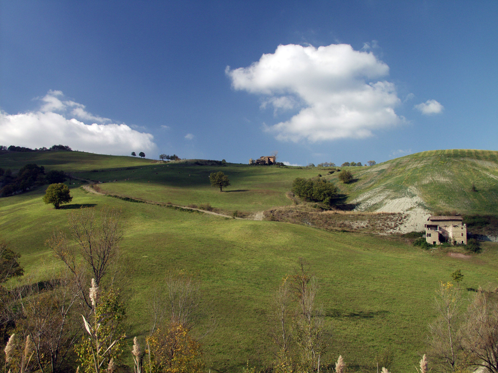 Campagna di Castelvetro 14