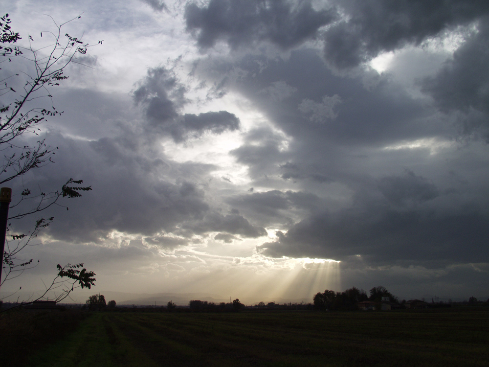 Campagna di Castelvetro 17