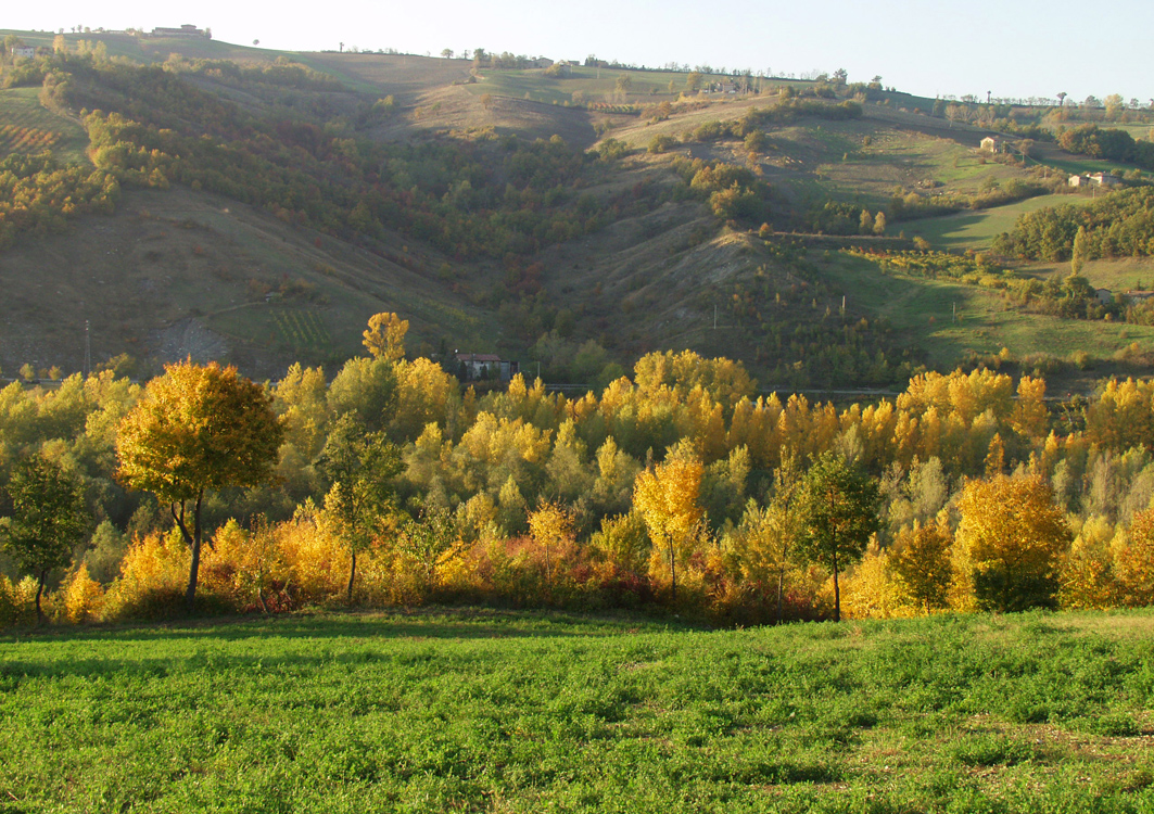 Campagna di Castelvetro 8