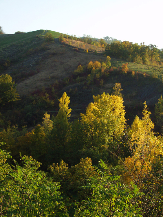 Campagna di Castelvetro 9