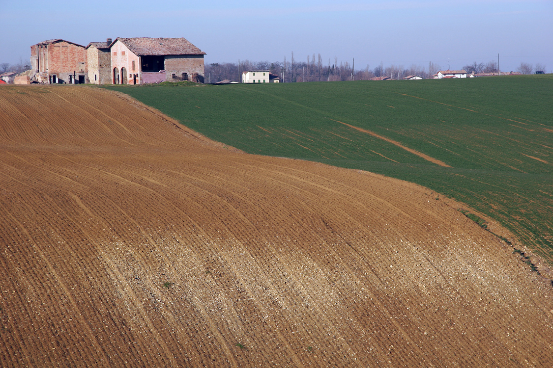 Campagna di Levizzano 3