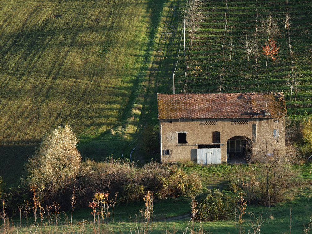 Campagna di Levizzano 4