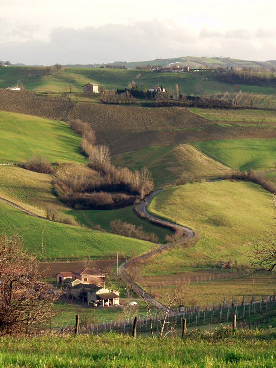 Campagna di Levizzano 9