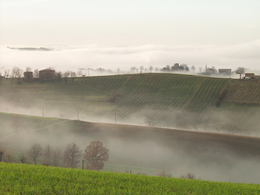 Campagna di Puianello 8