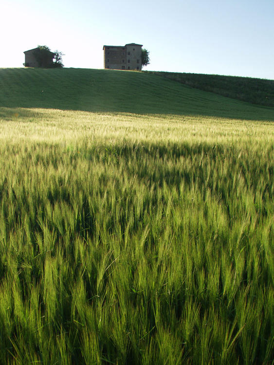 Castelvetro Via per Modena 2