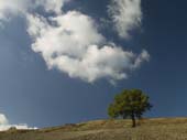 Campagna di Castelvetro 13