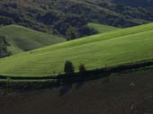 Campagna di Castelvetro 7