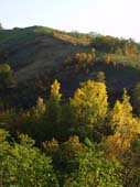 Campagna di Castelvetro 9