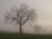 Campagna di Levizzano 11