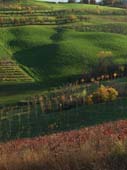 Campagna di Levizzano 7