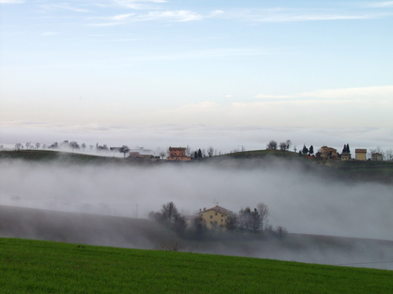 A sea of fog