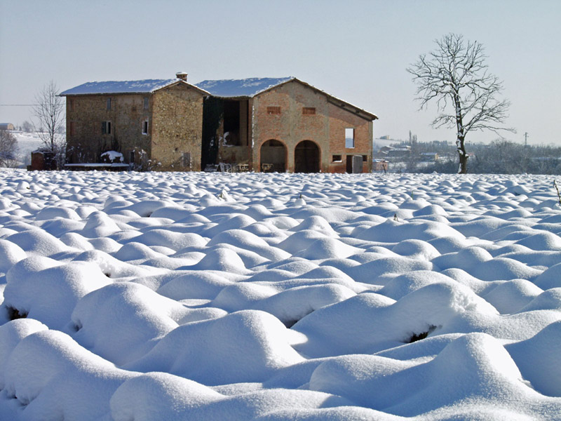 A sunny day in winter