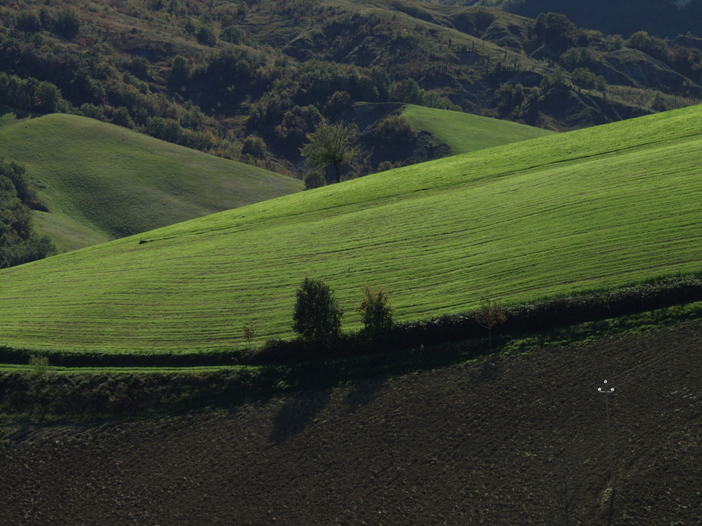 Campagna di Castelvetro 7