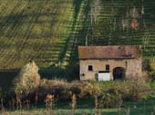 Campagna di Levizzano 4