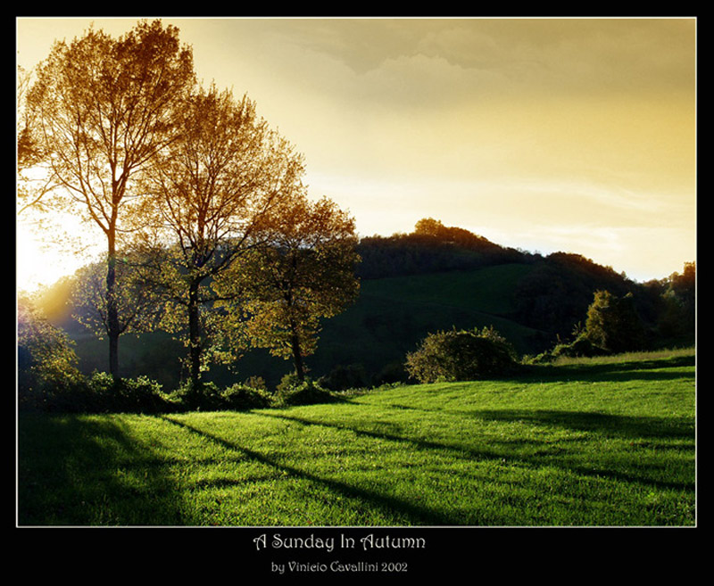 sunset in autumn