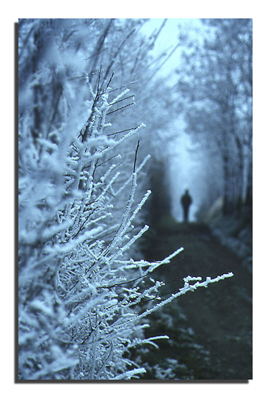 winter walk